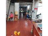 Mặt bằng Phú Mỹ, P.22, 5x20m, riêng biệt, 20tr