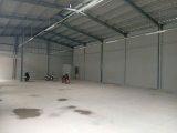 Cho thuê Kho Trần Bá Giao, P5, Gò Vấp, 25x14m, điện 3 pha, 37tr