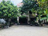 Cho thuê Biệt thự Nguyễn Trung Trực, P.5, 1000m2, DTSD 300m2, 2.5 tầng,65tr
