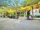 Cho thuê Nhà mặt tiền Quang Trung P11, GV, 11.5x30m, trệt lửng, 150tr