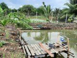 Cho thuê đất Bình Quới, P.28, Bình Thạnh, 800m2, 6tr